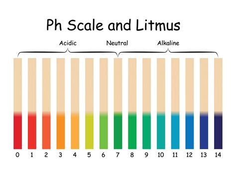 Ph Scale And Litmus Science Design Vector Illustration 30339965 Vector