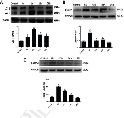 Figure 1 From Delta Opioid Receptor Agonist Attenuates