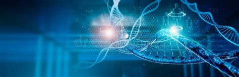 Dna Molecule Structure Dna Double Helix Medical Science Research Of