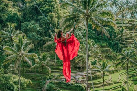 Bali Swing Tegalalang Rice Terrace And Ubud Centre