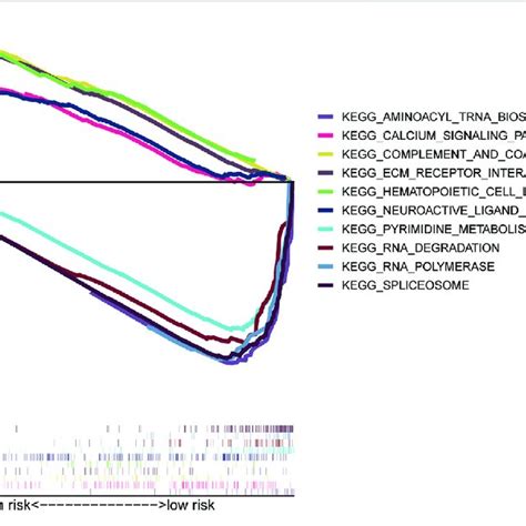 Pathway Enrichment Analysis A Gsea Analysis Of The High And Low Risk