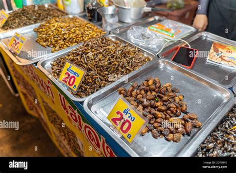 Phuket Thailand 17 December 2020 Fried Edible Insects For Sale At Chillva Market A Walking