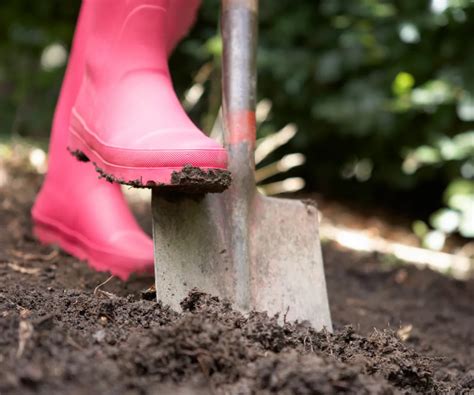 Comment Pr Parer La Terre De Son Potager Pour Le Printemps Avec Nos