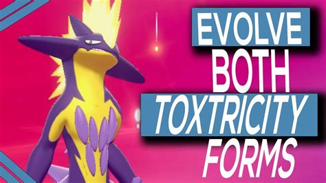 How To Evolve Toxel Into Both Forms In Pokemon Sword Shield YouTube