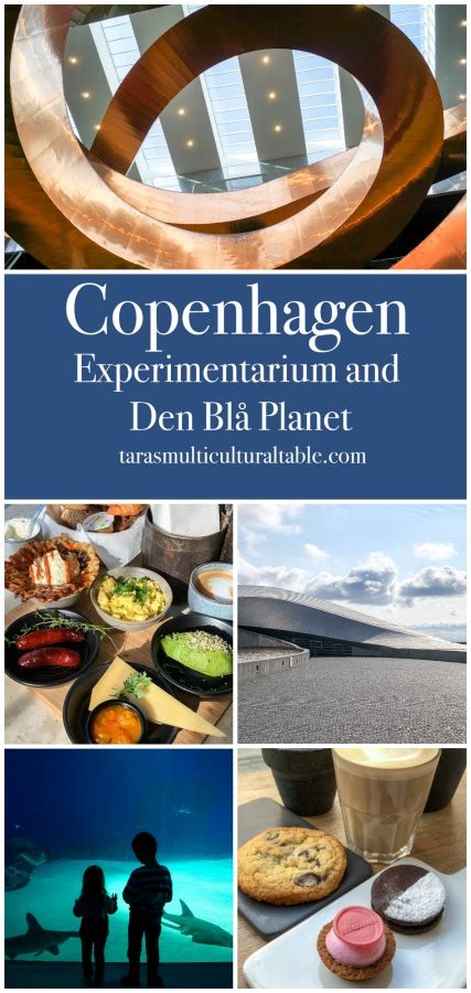 Birkesvafler Poppy Seed Waffles And Copenhagen Experimentarium And