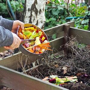 Compost Bokashi Comment A Fonctionne Pr Sentation