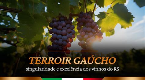 Terroir Gaúcho Singularidade E Excelência Dos Vinhos Do Rs