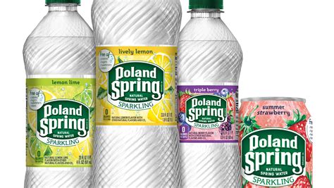 Flavored Carbonated Water Brands