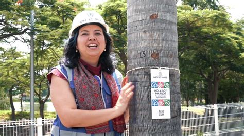 Gobierno Querétaro On Twitter ¡jessica Ya Es Parte De Qrotectores 🌳 Su árbol Se Llama Margot