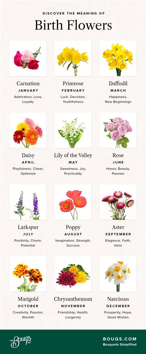 Birth Flowers By Month Chart