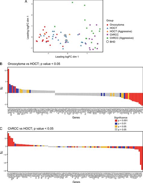 Hybrid Oncocyticchromophobe Renal Tumors Are Molecularly Distinct From