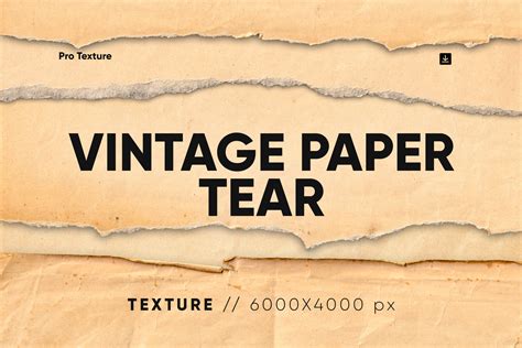 20 Vintage Paper Tear Texture HQ Graphic By CCPreset Creative Fabrica