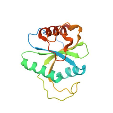 Gene Q Y A Protein Ythdf Overview Cansar Ai