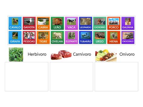 Galinha E Herbivoro Carnivoro Onivoro - Herbívoro, carnívoro ou onívoro - Group sort