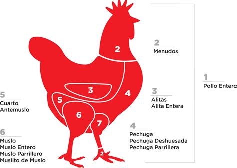 Linea Automatica De Corte Para Pollos