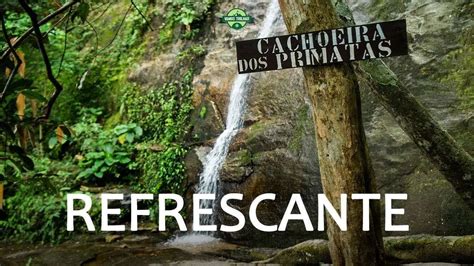 Cachoeira Dos Primatas Como Chegar E Fazer A Trilhar Horto Rj