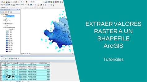 Crea Una Capa Raster En ArcGIS Con Ceros En Todos Los Valores