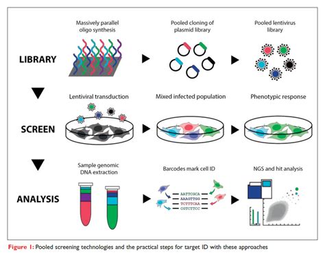 Drug Discovery Target Identification