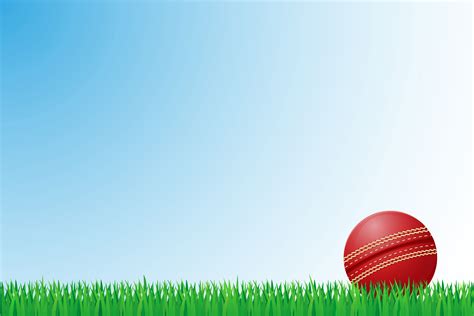 cricket grass field vector illustration 515662 Vector Art at Vecteezy