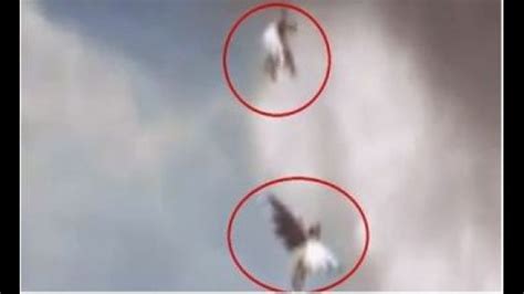 AMAZING: Two Angels Caught On Camera Flying In Brazil (pics and video ...