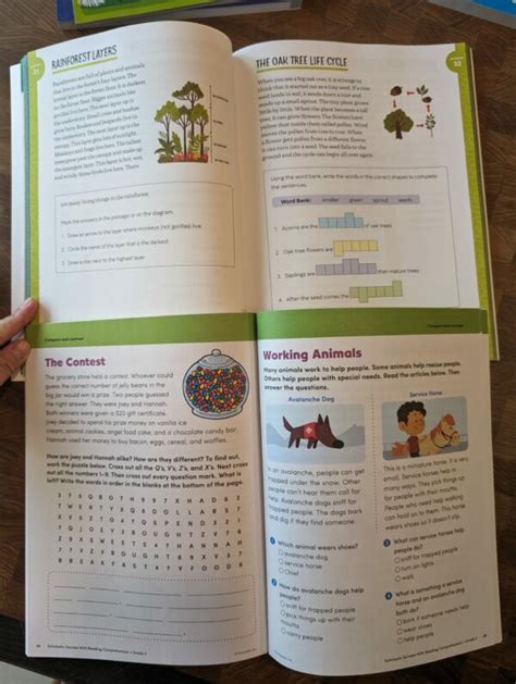 The Big Book Of Reading Comprehension Activities Grade 2 愛咪k英文