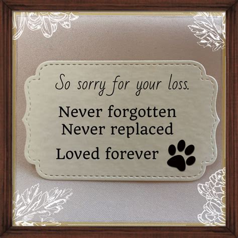 Pet sympathy cards and messages – Ohhowlovelygifts