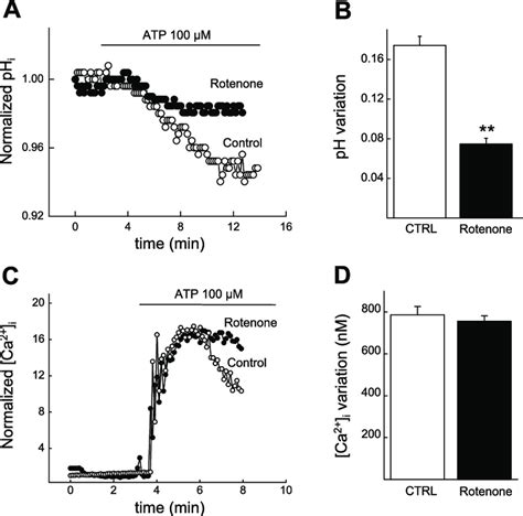 Rotenone Decreases Atp Induced Intracellular Acidification Without