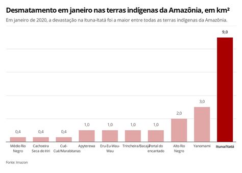 Terra Ind Gena Onde Antrop Logo Foi Detido Ao Tentar Barrar Ibama Teve