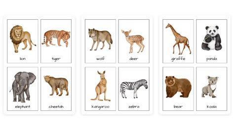 Beautiful Wild Animals Flashcards For Kids Free Printable - Womanhood ...