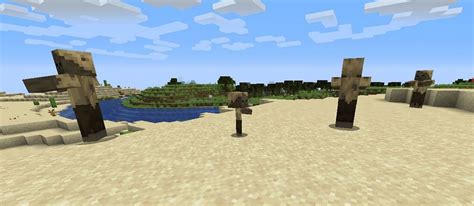 5 Things You Probably Didn T Know About Husks In Minecraft