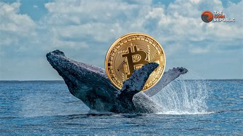 Bitcoin Whale Alert Btc Moved From Binance To Trigger A Rally