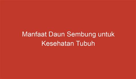 Manfaat Daun Sembung untuk Kesehatan Tubuh