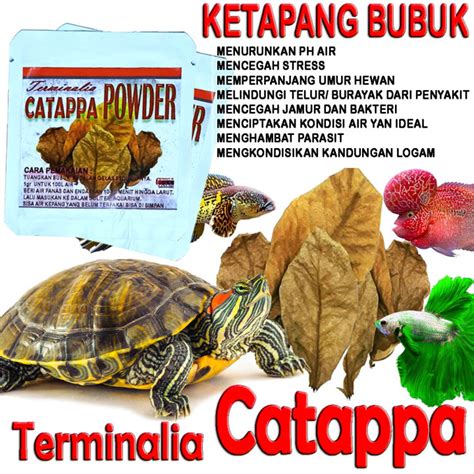 Ekstrak Daun Ketapang Bubuk Obat Ikan Hias Cupang Louhan Guppy Betta