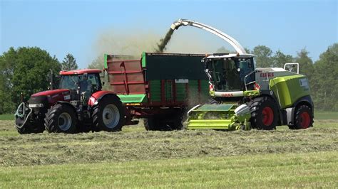 Gras Hakselen Bij Bosch Loonbedrijf H Van Haarst Met Claas Jaguar