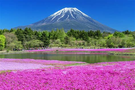 Gunung Fuji Pemandangan Indah | infotiket.com