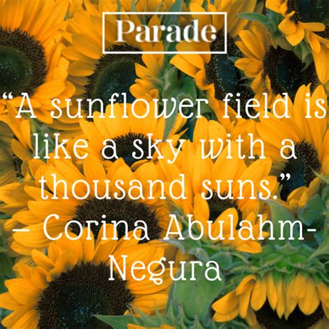 75 Sunflower Quotes To Bring You Joy Parade