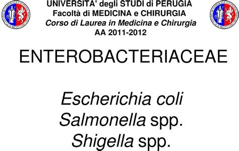 Enterobacteriaceae Escherichia Coli Salmonella Spp Shigella Spp