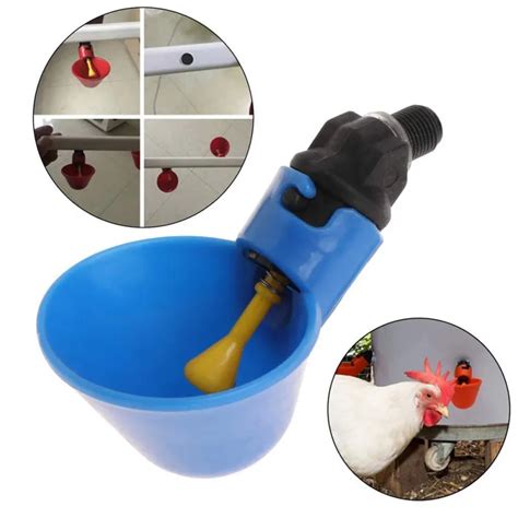 Alimentador de loro automático para aves alimentación de gallinero