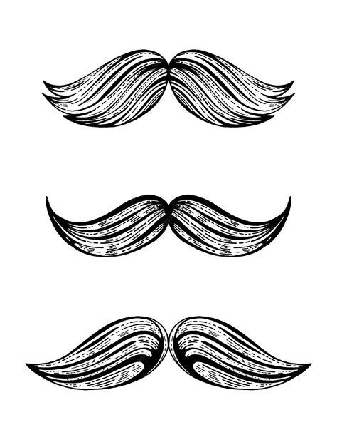 Premium Vector Moustache Vector Set Isolated Mustache Icons Black