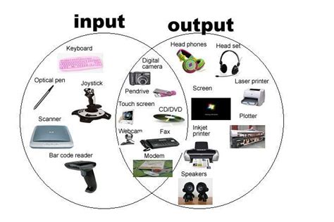 Input And Output Devices Ict Igcse 11k Plays Quizizz