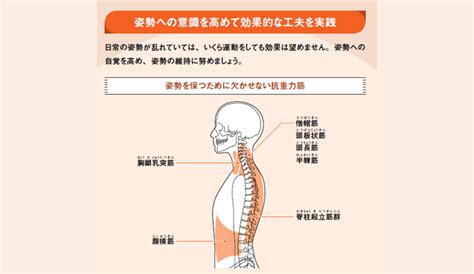 正しい姿勢を身に着けて肩甲骨を正しい位置にキープする方法とは？【肩甲骨はがし】ラブすぽ Goo ニュース