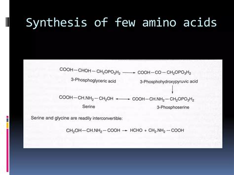 amino acid pathway upload
