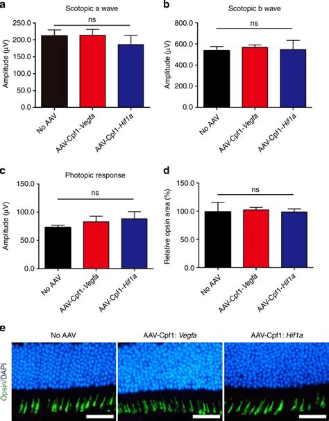 Lbcpf1 Targeted To Vegfa Or Hif1a Does Not Affect Cone Function Ac At