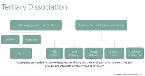 Structural Dissociation – Sarah Graham