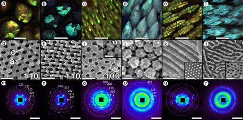 Bug Colors From Self Assembled Nanostructures Advanced Photon Source