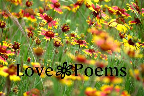 Picturesque Poetry | Poems Set In Nature's BackDrop