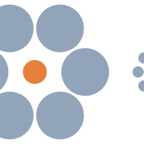 Representation of Ebbinghaus illusion. | Download Scientific Diagram