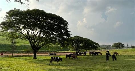 Tiket Farm Fresh Di Upm Seri Kembangan Di Selangor Masuk Langsung