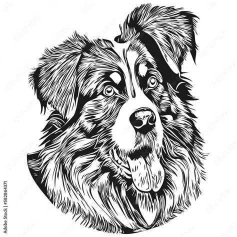 Vetor De Australian Shepherd Dog Line Art Hand Drawing Vector Logo