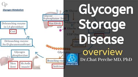 Glycogen Storage Disease Pathophysiology Overview Usmle Biochemistry